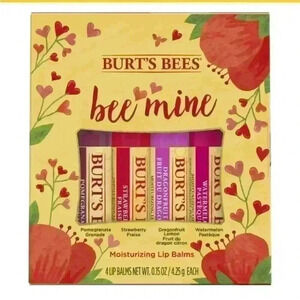 Burt’s Bees Bee Mine Lip Balm Valentine Gift Set spring summer must have 4 pack